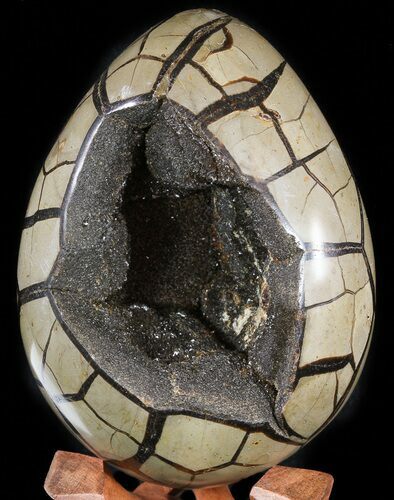 Septarian Dragon Egg Geode - Black Crystals #47477